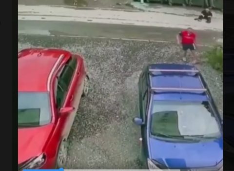 Kişini etdiyi hərəkətinə görə zibil qutusuna atdılar – VİDEO