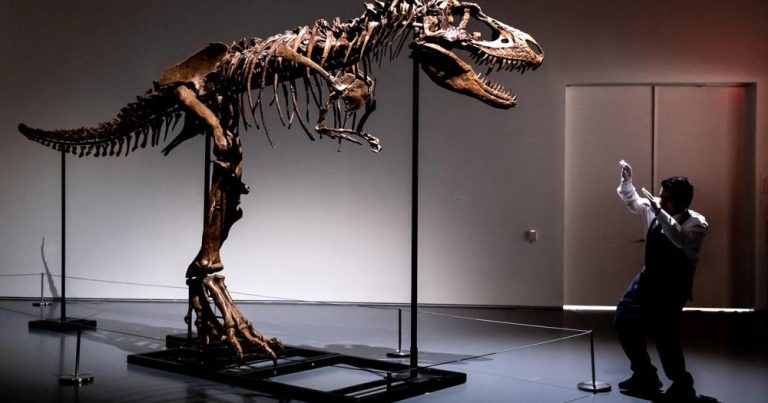 76 milyon illik dinozavr skeleti rekord qiymətə SATILDI – FOTO