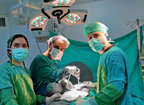 Həkimləri heyrətə salan əməliyyat: Mədəsində 158 metal parçası aşkarlandı – FOTO