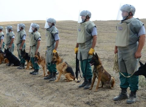 Qərbin it dəyərləri, Missisipidəki zənci balalar və bir milyona yaxın mina – VƏHŞİ AVROPANIN SÜKUTU