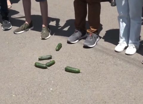 Ermənistan Prezidentinə “hədiyyə” gətirənlər Azərbaycan dilində “xiyar” qışqırdılar – VİDEO