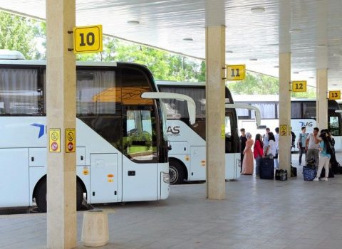 Rusiyaya avtobus reysləri bərpa edilir