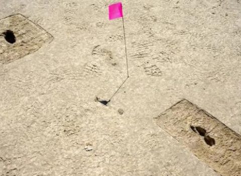 Tarixə işıq salan 12 min illik ayaq izləri – ƏTRAFLI