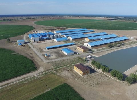 “Zəngəzur Aqro Park” yaradıldı