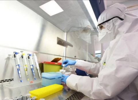 Hepatit A virusu sürətlə yayılır