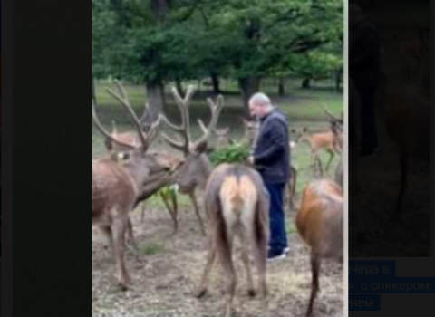 Paşinyanın Dilicandan görüntüləri ƏLƏ SALINDI – VİDEO