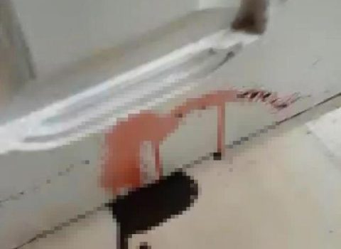 Kirayə tutduqları evin divarlarından qan sızdı – VİDEO