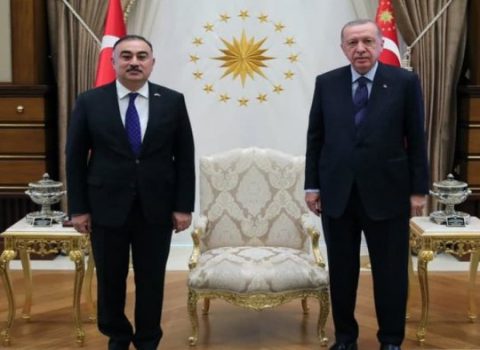 Rəşad Məmmədov Türkiyə Prezidenti ilə görüşdü