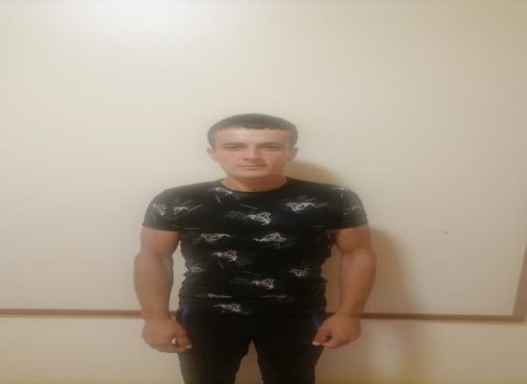 12 minlik mal-qara oğurlayan şəxs SAXLANILDI