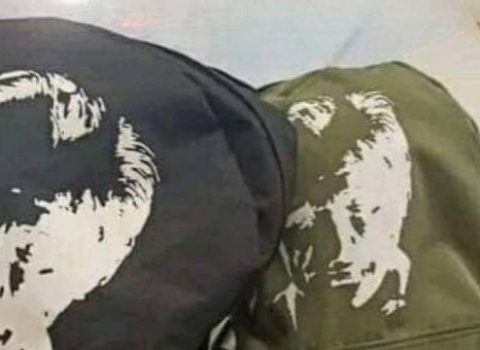 İrəvanda üzərində Atatürkün şəkli olan məktəb çantaları satılır – FOTO