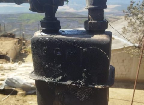 Şabranda baş verən yanğın qaz təsərrüfatına zərər vurub – FOTO
