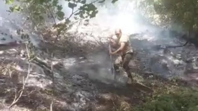 Oğuzda meşədəki yanğın söndürüldü – VİDEO Oğuzda meşədəki yanğın söndürüldü – VİDEO