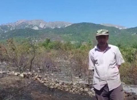 İsmayıllıda qəsdən yanğın törədən şəxs saxlanıldı – VİDEO