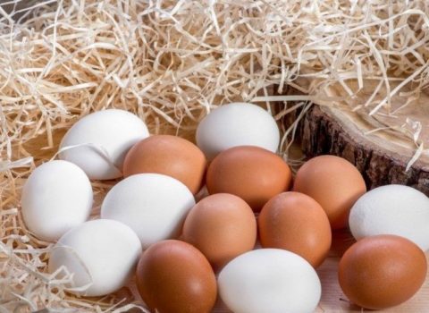 Öz toyuğumuz, yumurtamız yoxdur? – ARAŞDIRMA