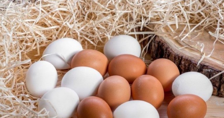 Azərbaycanda broyler yumurtaları niyə bahalaşdı? – SƏBƏB