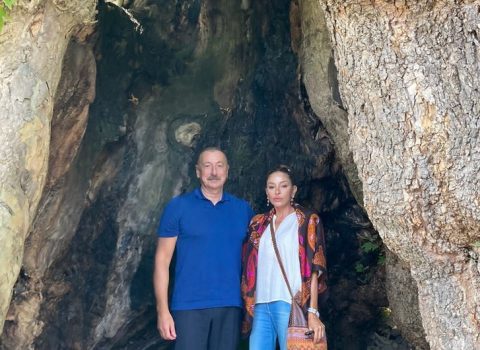 Mehriban Əliyeva Basqaldan paylaşım etdi – FOTO