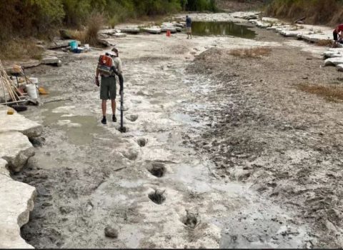 ABŞ-da çayda dinozavr izləri AŞKARLANDI