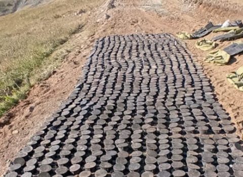 Sarıbaba yüksəkliyində ermənilərin basdırdığı mina sahəsi AŞKARLANDI – FOTOLAR