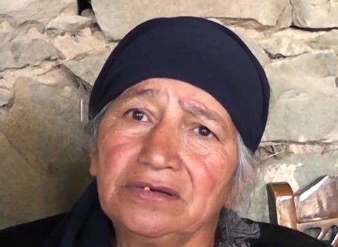 Gəlini əri tərəfindən qətlə yetirilən qayınana: “Gəldim gördüm ki, öldürüb” – VİDEO