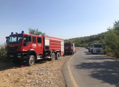 FHN yanğınlarla bağlı məlumat yaydı – VİDEO