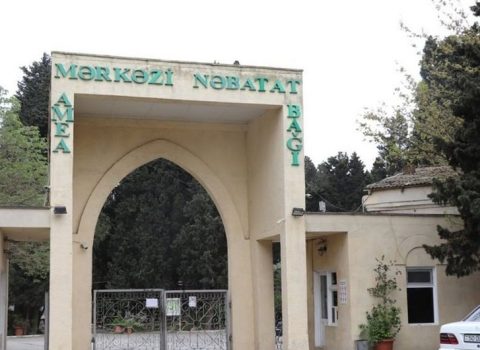 Dendrologiya İnstitutunun və Nəbatat bağının rəhbərliyi dəyişdi