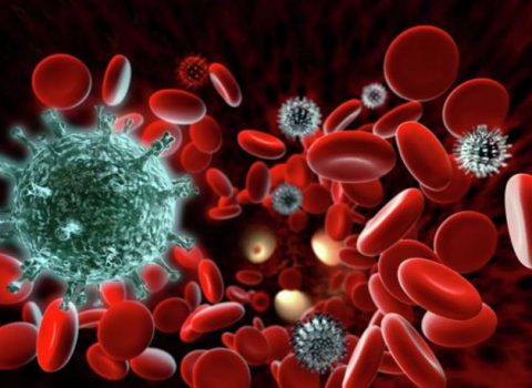 Payız mövsümündə vacib olan vitaminlər – SİYAHI