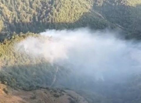 Masallıdakı meşə yanğınının qəsdən törədilməsi faktı ilə bağlı araşdırmalara BAŞLANILDI