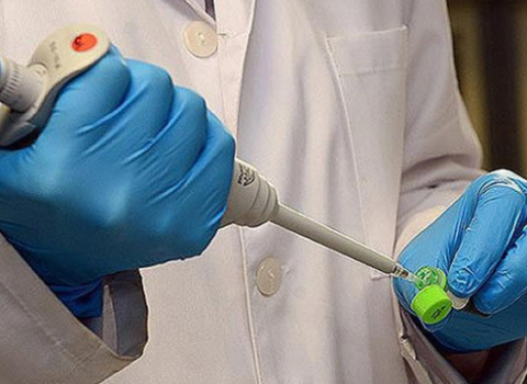 Yeni virus yayılmaqda davam edir: 14 nəfər öldü