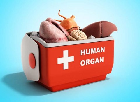 Donor orqanların götürülməsi, hazırlanması, saxlanması, daşınması və transplantasiyası qaydası təsdiqləndi