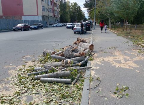 Güclü külək Mingəçevirdə fəsadlar törətdi