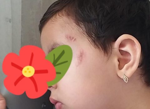 “Özəl bağça”, “bahalıdır” deyib rahat olmayın, bəlkə ən böyük işgəncəni elə oralarda verirlər” – Baş redaktor