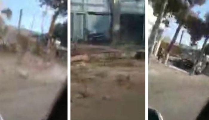 ETSN Xəzər rayonunda şam ağaclarının kəsilməsi ilə bağlı araşdırmaya başladı – VİDEO ETSN Xəzər rayonunda şam ağaclarının kəsilməsi ilə bağlı araşdırmaya başladı – VİDEO