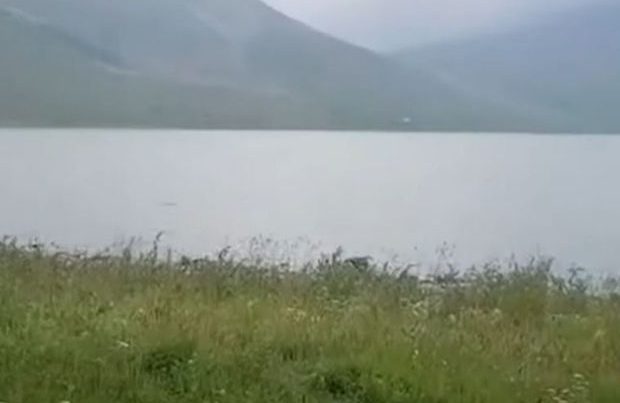 Qaragöldən yeni görüntülər – VİDEO Qaragöldən yeni görüntülər – VİDEO