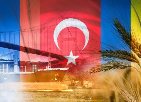 Ukrayna limanlarından daşınan taxılın miqdarı açıqlandı