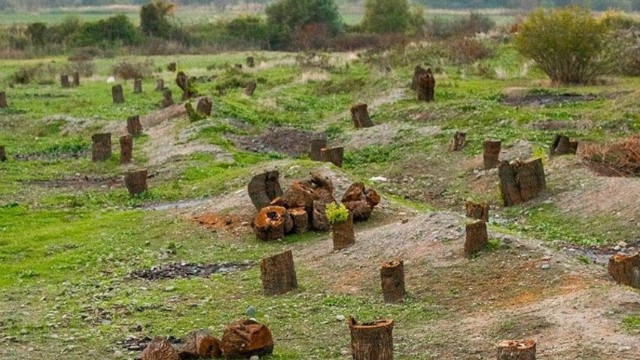 Ermənilər Azərbaycana 16 milyard manatdan çox ekoloji ziyan vurub Ermənilər Azərbaycana 16 milyard manatdan çox ekoloji ziyan vurub