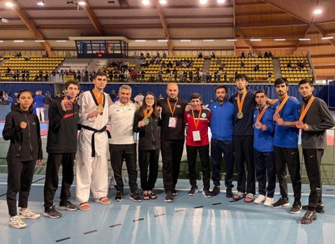 Taekvondoçularımız Niderlandda 7 medal qazandılar
