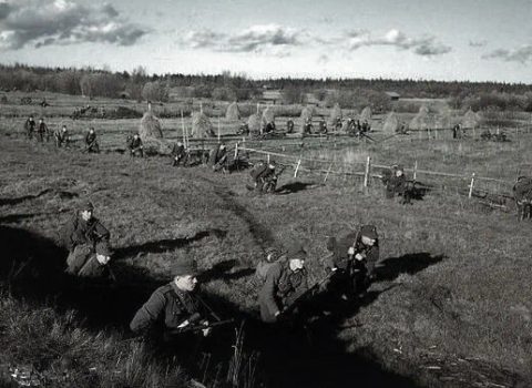 NATO-ya yalvaran Finlandiya vaxtilə Stalinə də sülh üçün “boğaz çəkmışdi”
