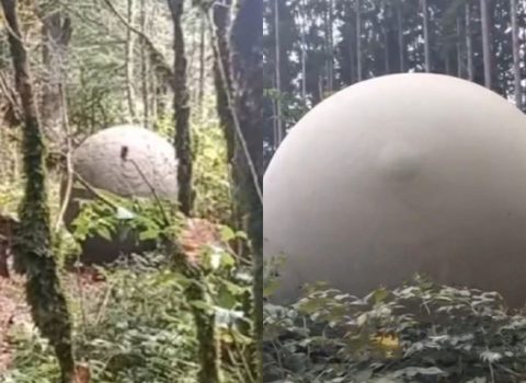 Soçi meşəsində naməlum nəhəng metal toplar tapıldı – FOTO