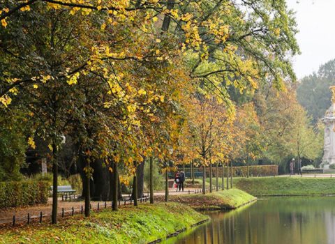 Berlinin mərkəzi parkında ağaclar evləri qızdırmaq üçün doğrandı