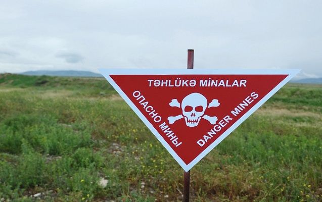 Azad edilmiş ərazilərdə 600 hektaradək sahə minalardan təmizlənib – VİDEO