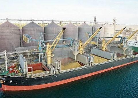 Taxıl razılaşması: Türkiyə Rusiya ilə danışıqlar aparır