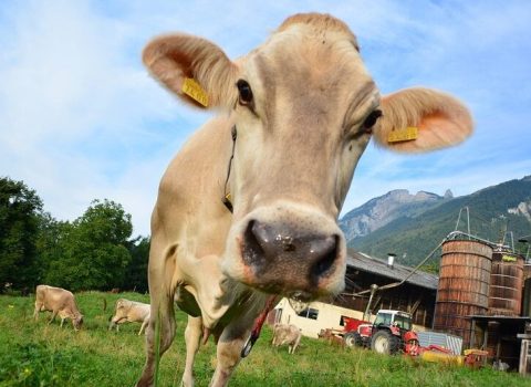 Fermerlər qəribə vergiyə ETİRAZ EDİR