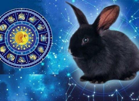2023-cü il bizə NƏ VƏD EDİR? – Şərq təqviminin PROQNOZU