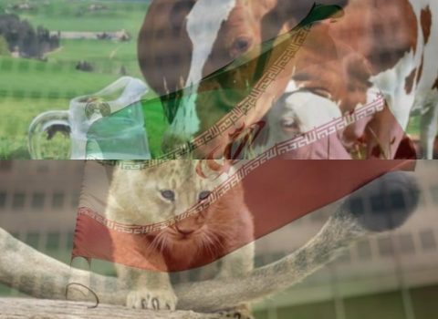 ASLAN QUYRUĞU, yoxsa SAĞILAN İNƏK? – İran SEÇİM QARŞISINDA