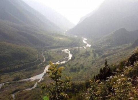 Bəsitçay Dövlət Təbiət Qoruğunun Əsasnaməsi təsdiq edildi