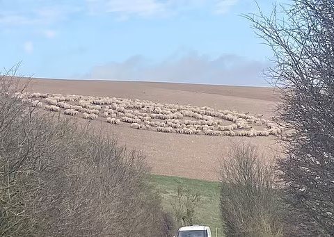 Bu görüntülər gündəm oldu: 12 gündür dayanmadan fırlanırlar – VİDEO