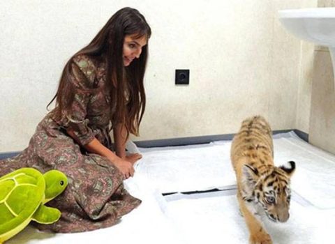 Leyla Əliyevanın pələnglə fotosu maraqla qarşılandı – FOTOLAR
