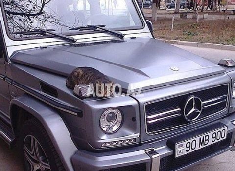 Bakıda 410 minə “Galendewagen” satan şəxsin başına iş gəldi