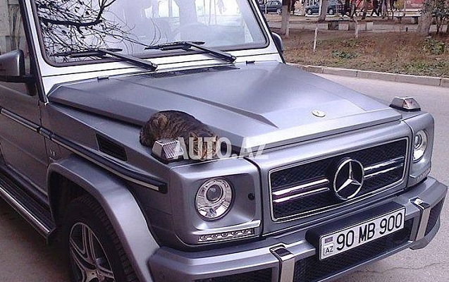 Bakıda 410 minə “Galendewagen” satan şəxsin başına iş gəldi Bakıda 410 minə “Galendewagen” satan şəxsin başına iş gəldi