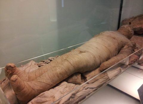 Misirdə dilləri qızıldan olan mumiyalar tapıldı – FOTO